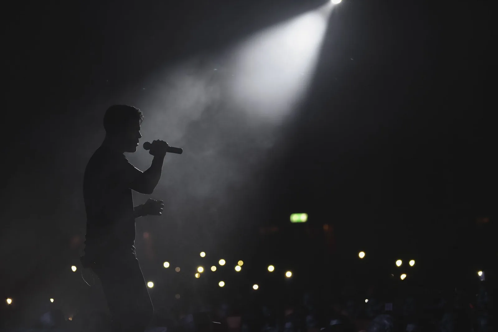 Singer performing under golden stage lights